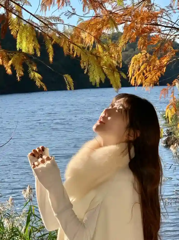 NPP下载数据可视化